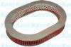 AMC Filter HA-699 Air Filter